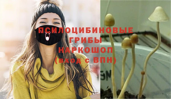 тгк Балахна