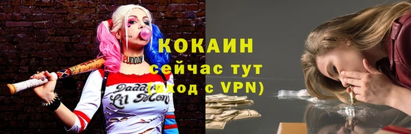мяу мяу мука Баксан